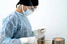 В Саратовской области ребенок и пенсионерка попали в больницу после нападения кошек